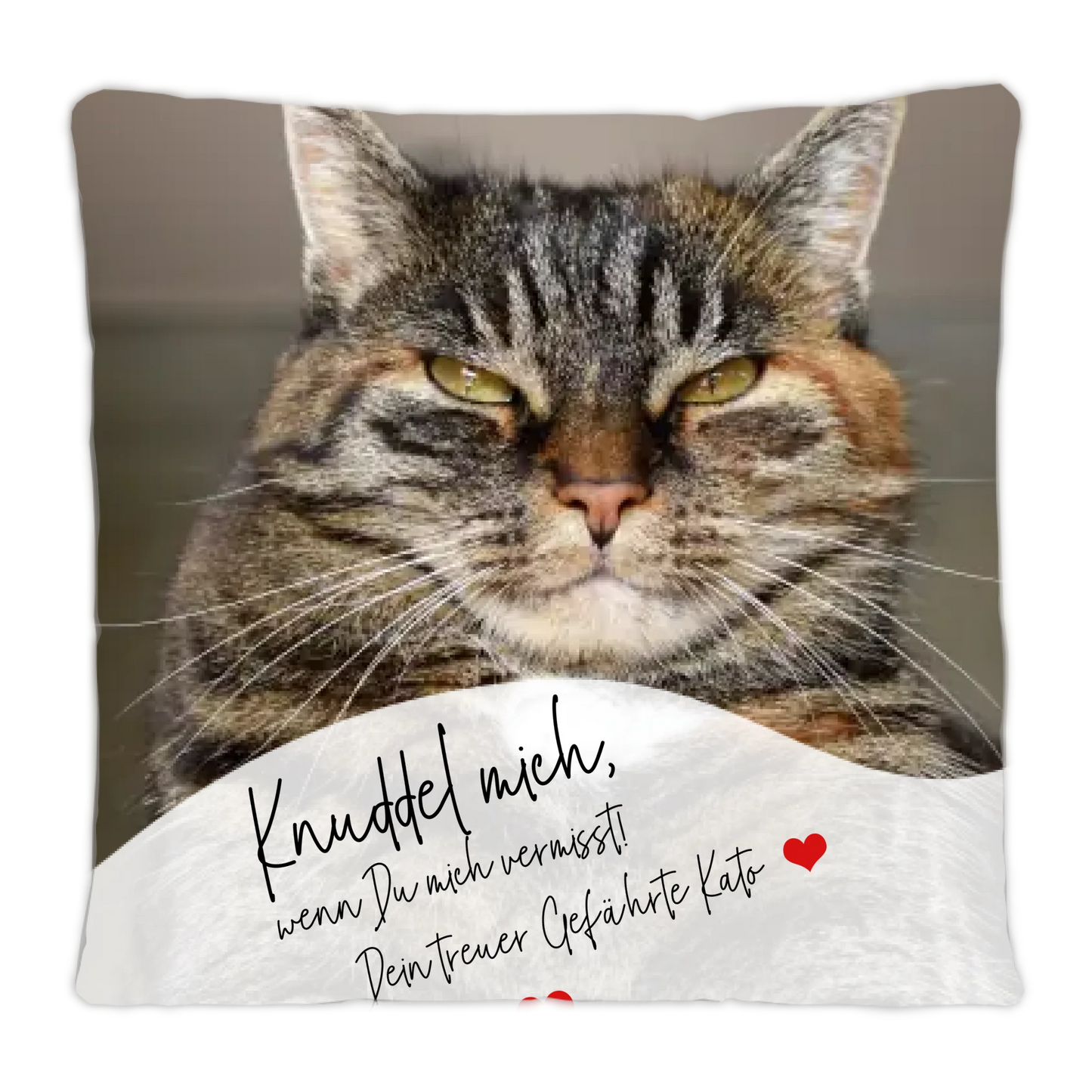 Personalisiertes Tier-Kissen | Tierliebhaber Haustier Kissen mit Text | Knuddel mich | Drück mich, wenn Du mich vermisst