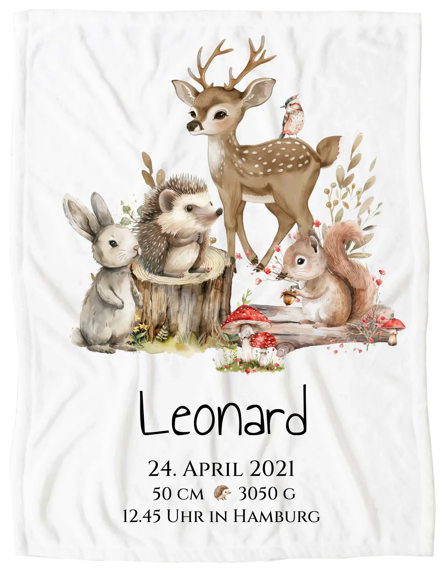 Decke - freigestellt