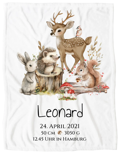 Decke - freigestellt