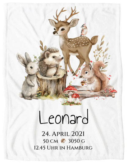 Decke - freigestellt